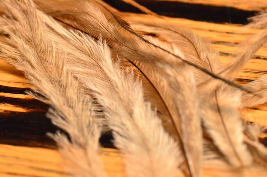 Emu Feathers