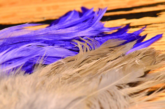 Schlappen Feathers