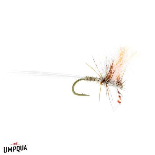 Candy Shop Callibaetis, Mayer's