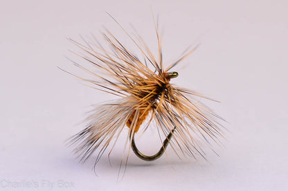 Chuck's Caddis Variant, Ginger