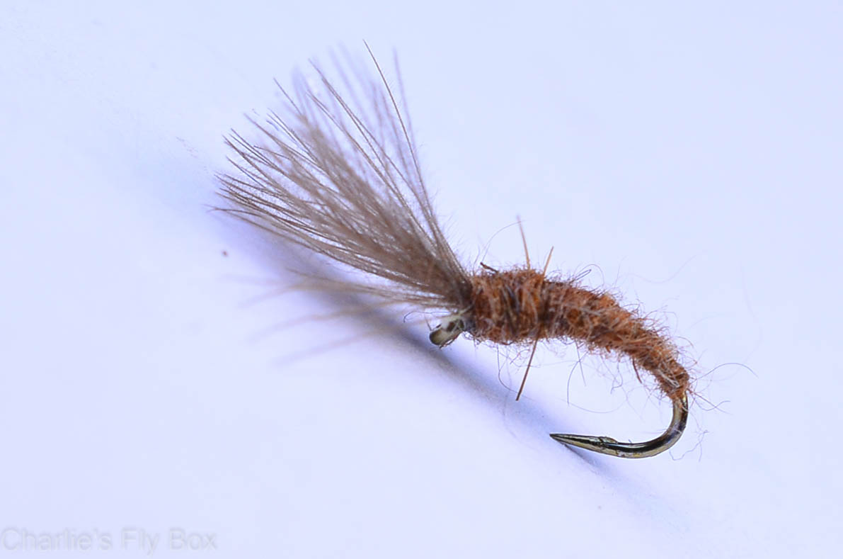 Mole Fly - Image source: Charlie's Fly Box