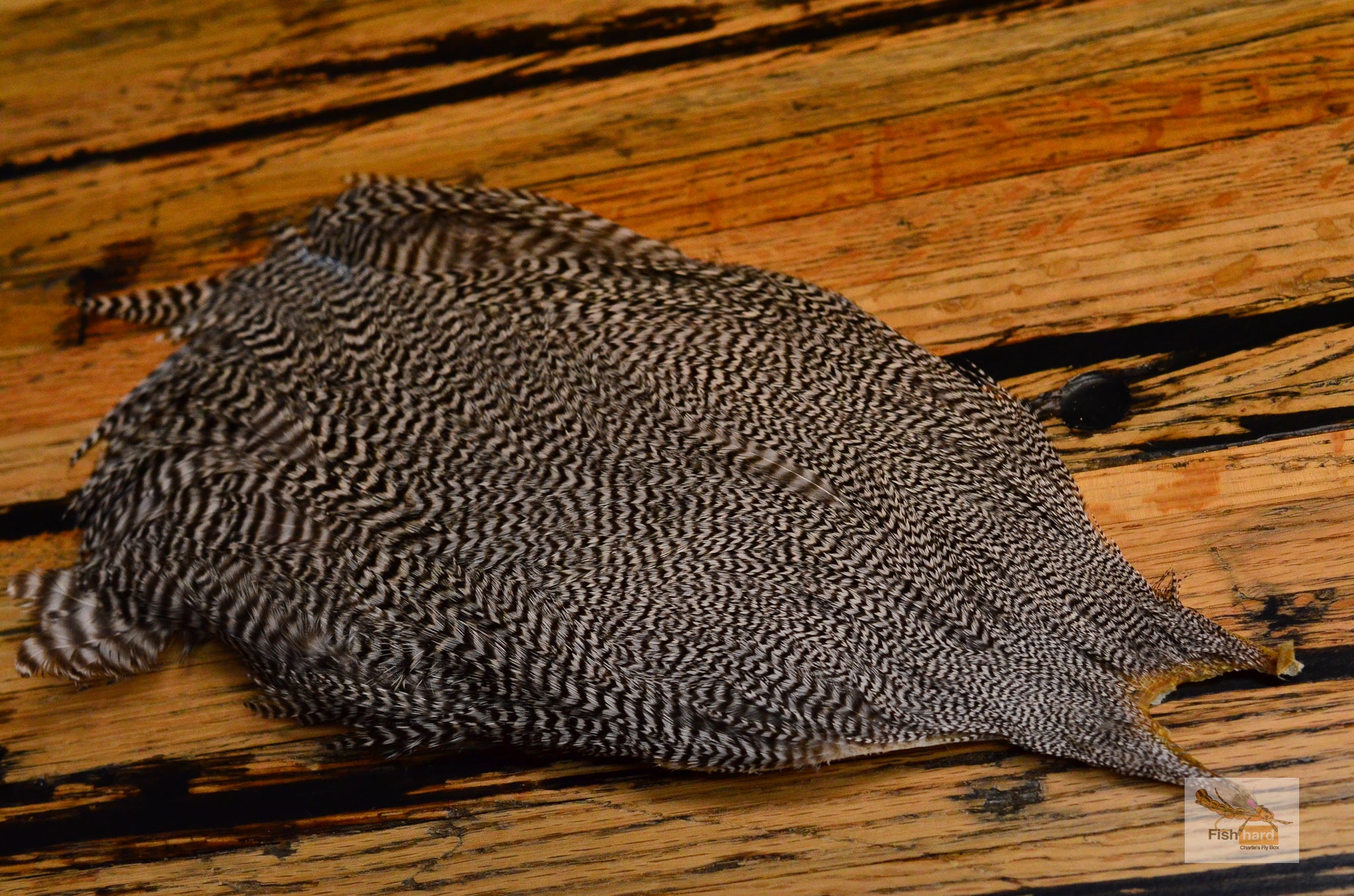 Metz Magnum Rooster Cape, Grizzly – Charlie's Fly Box