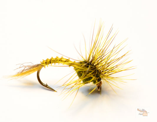 Green Drake Pullover