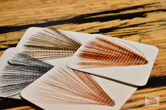 MFC Micro-Barred Fibbetts (Tailing Fibers)