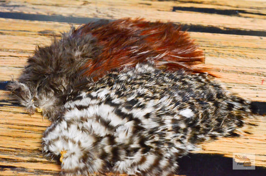 Whiting Tailing Packs (Spade Hackle)