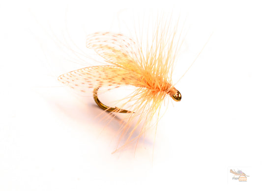 Resting Caddis, Gerbec's