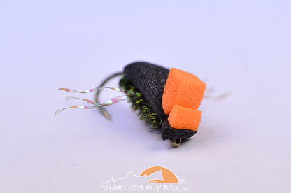 Foam Beetle