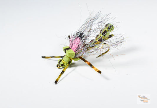 morningwood stone cravens