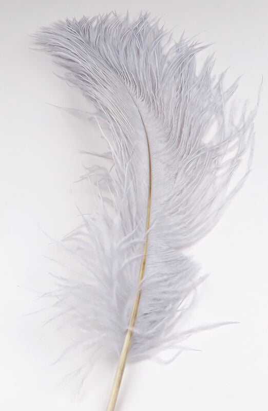 15in Ostrich Black Feather/ Plume