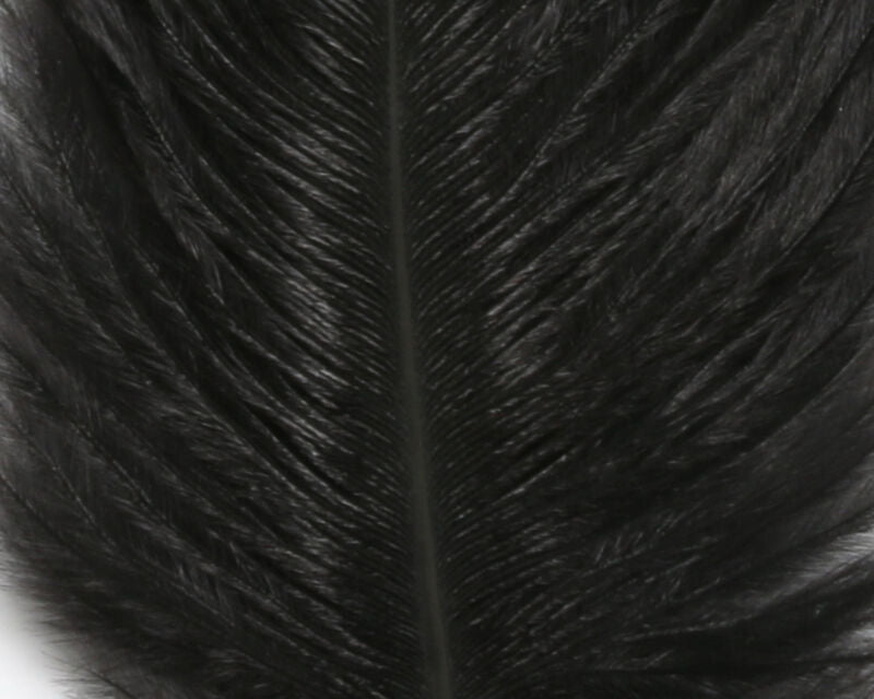 Ostrich Plumes (Herl)
