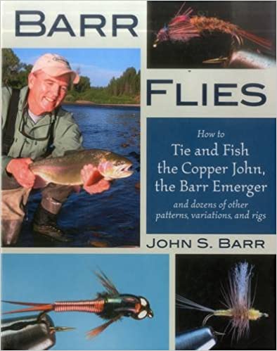 barr flies 2