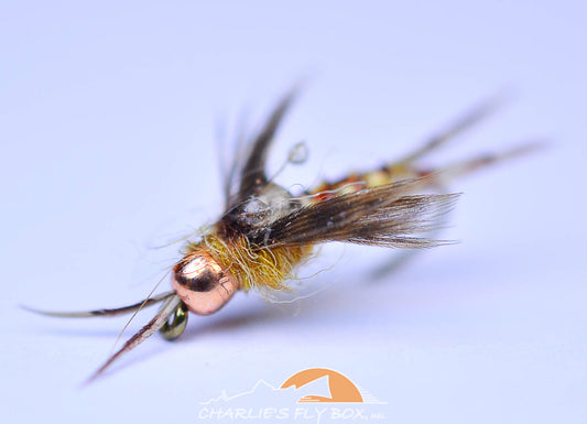 Biot Epoxy Stone, Golden