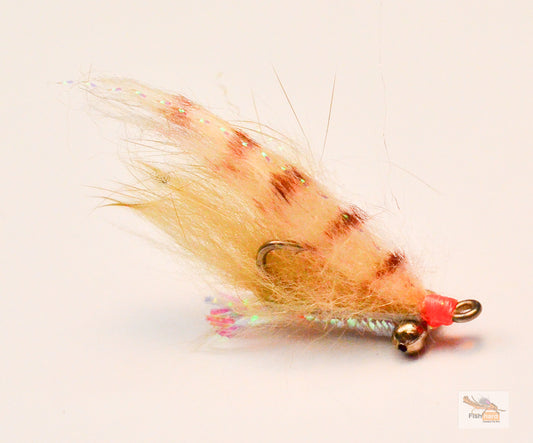Bonefish Scampi