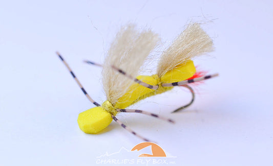 chubby yellow sally
