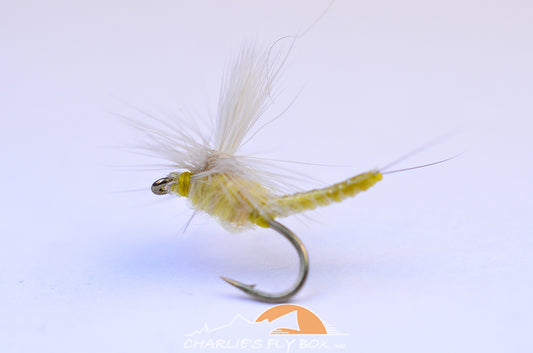 Iwane Dun, Parachute