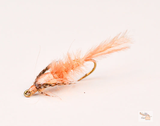 Gilled Nymph, Stalcup's