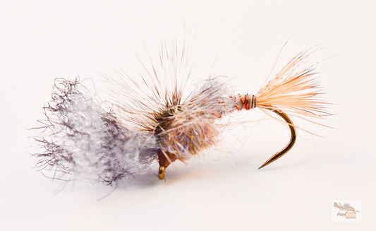 Gray Drake Film Critic