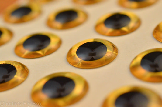 Holographic 3-D Dome Eyes