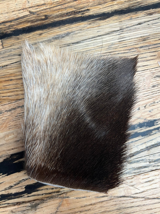 Moose Hock, Large Piece