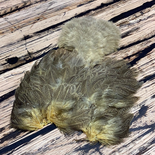 Whiting Brahma Hen Soft Hackle with Chickabou