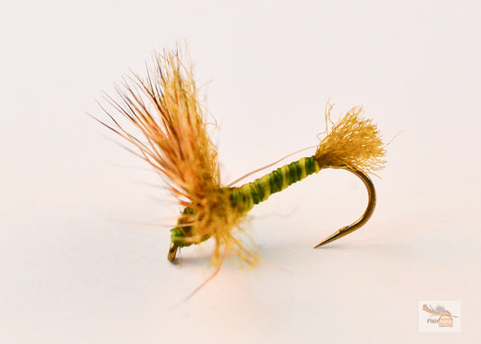 Improved Sparkle Dun, Green Drake