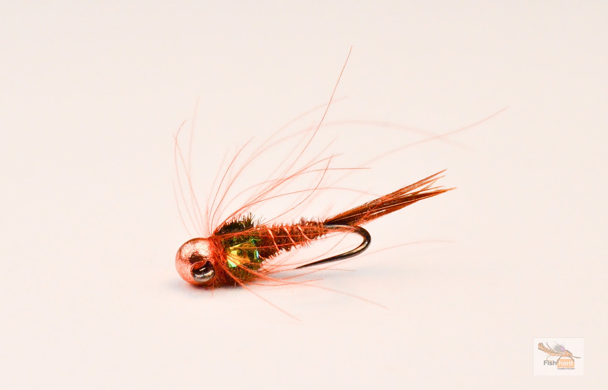 Massimo Clini Pheasant Tail série Jig Massimo Clini Pheasant Tail série Jig