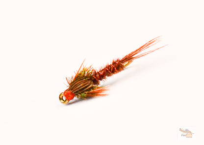 Pheasant Tail Nymph