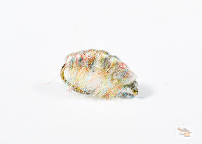 hunchback scud rainbow