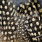 Guinea Body Feathers