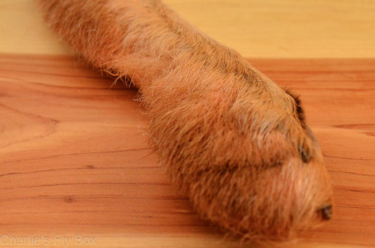 Snowshoe Rabbit Foot