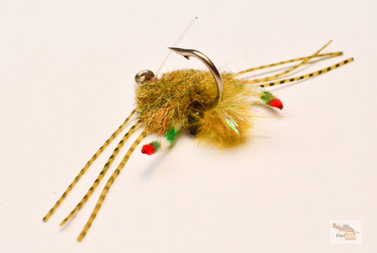 Belly Flop Crab, Student's