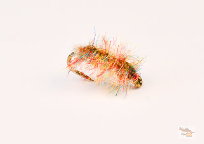 Tailwater Sowbug