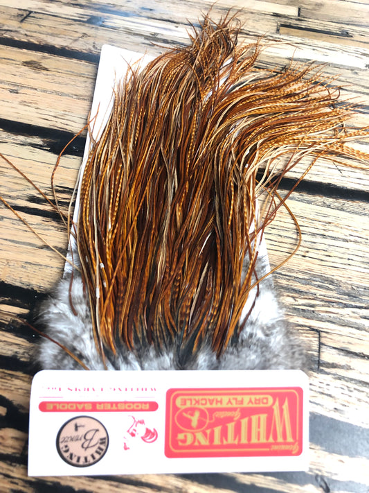 Whiting Bronze Grade Midge Saddle, Barred Dark Ginger